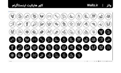 کاور هایلایت گیاهان دارویی و عطاری